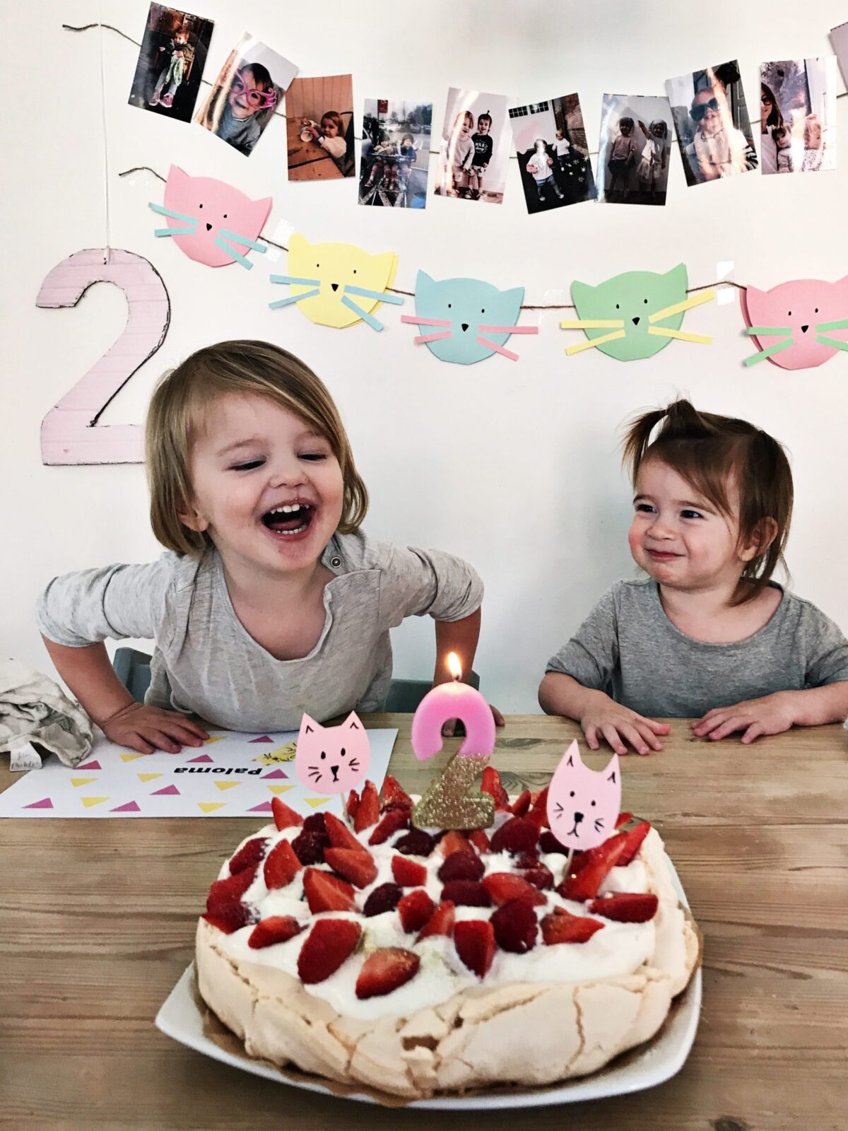 A thrifty cat themed birthday