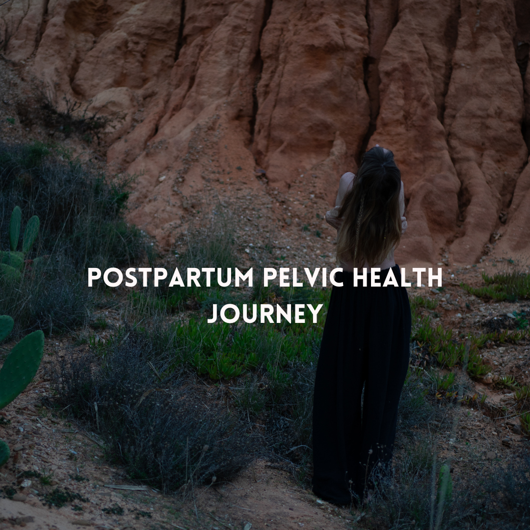 Postpartum Pelvic Health Journey