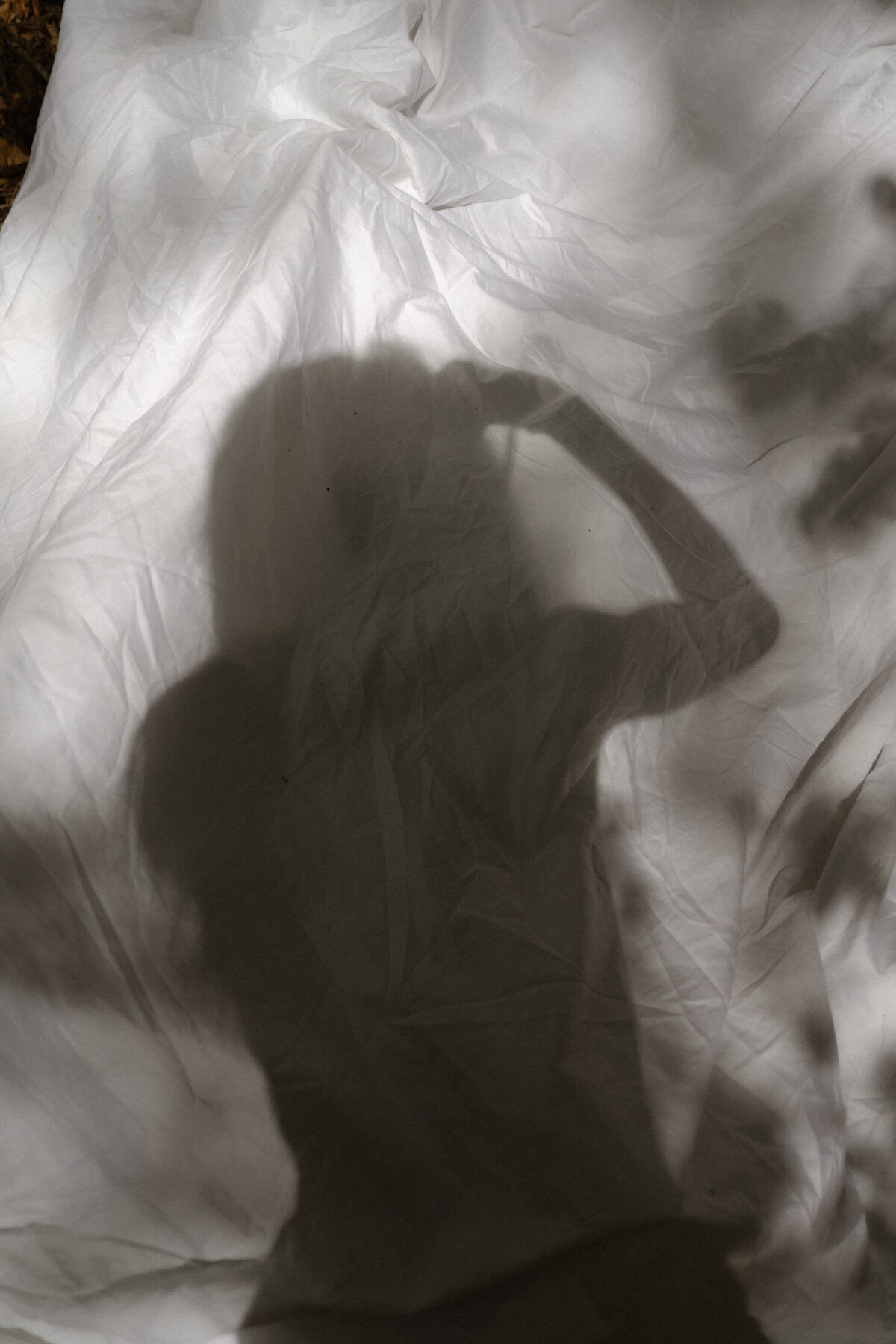 Vagina Workshop for healing vaginismus and vulvodynia. A shadow of a woman taking a photo of herself